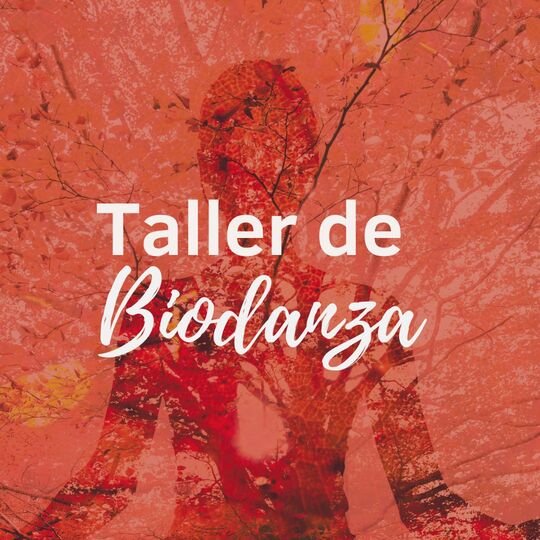 Taller de Biodanza